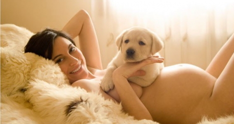 Моя вторая половинка