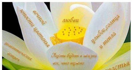 моя вторая половинка