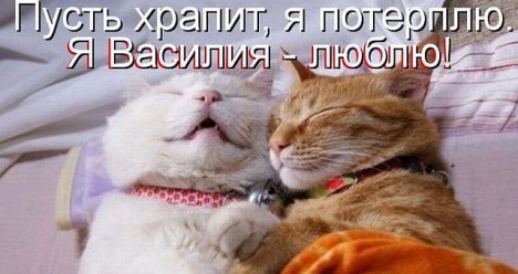 Я Васина жена, мы с ним единая счастливая семья навсегда.