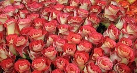 Пусть Дима меня сейчас сильно полюбит и вернётся ко мне