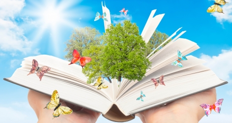 Мой дом продается, и я покупаю домик в Болгарии.