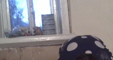 Встреча с любимым человеком