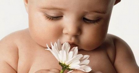 беременность