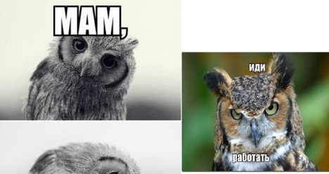 Хочу чтоб денег много