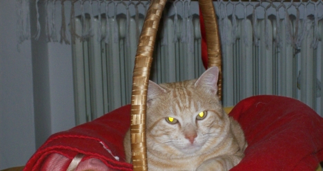 Высокооплачиваемая работа