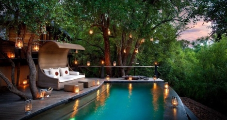 Много путешествовать