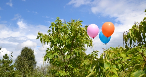 купить  дом в киеве,стройная  фигура,моя  вторая половинка