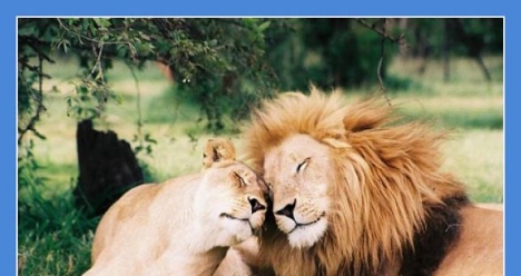 мой любимый и любящий мужчина мой духовный двойник