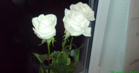 Развитие моего бизнеса