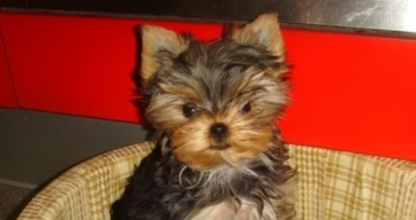 стабильный доход и жизнь без долгов