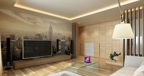 большая красивая квартира