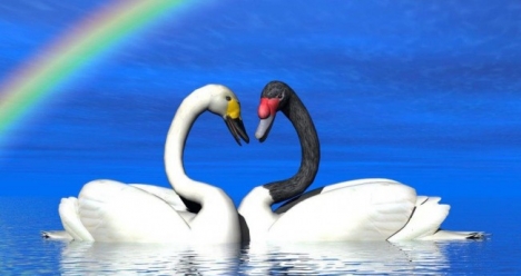 Моя вторая половинка