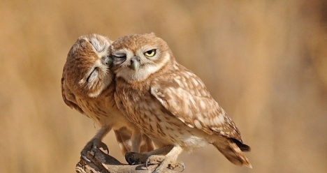 Я здорова, красива, любима тем, кого люблю