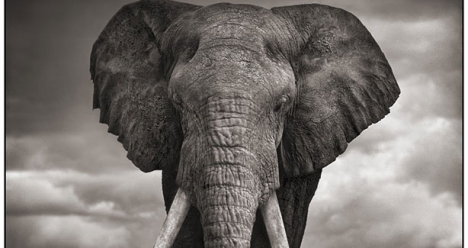 Я абсолютно здорова