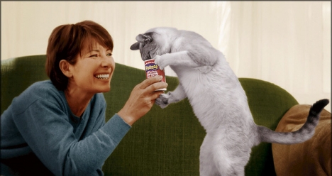 ПРОДАЖА  КОШЕК