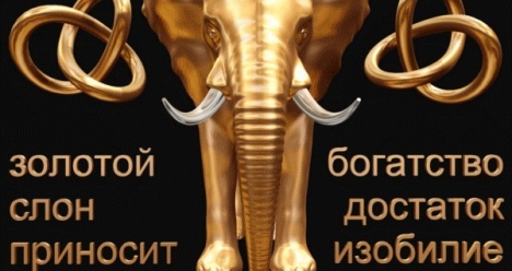 "Я выбираю быть богатой!"