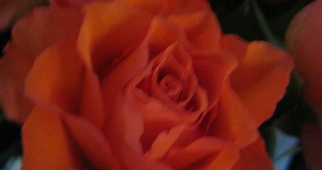 хочу быть здоровой, энергичной и красивой