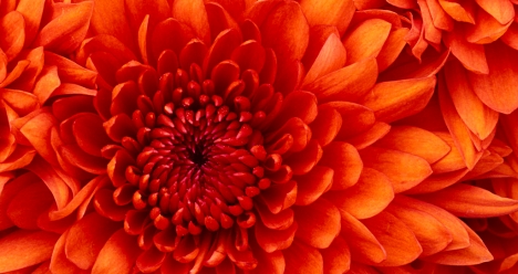 Хочу, чтобы вернули зимнее время!!!