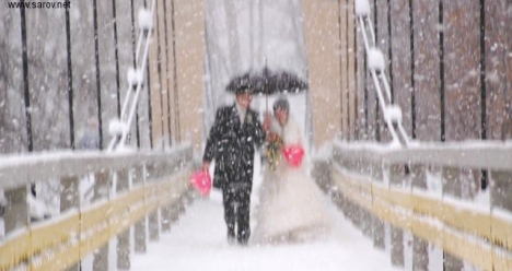 хочу в 2014 году стать женой Андрея Сушкова