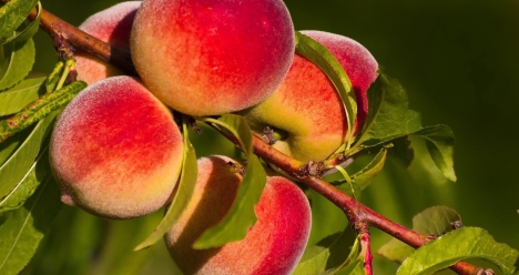 Изобилие в моей жизни