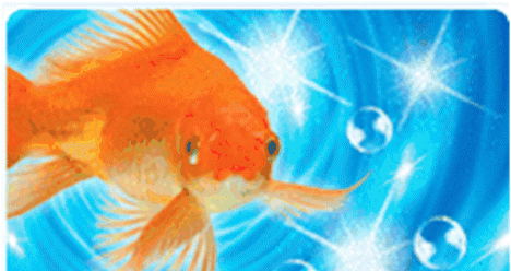 покупаю шикарную квартиру в волгограде