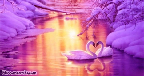 «Моя вторая половинка»