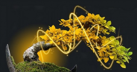 Иметь постоянно  финансовую обеспеченность по  15000 евро