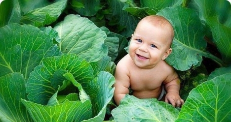 Моя беременность в 2014 году