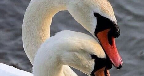 Я люблю и взаимно любима .Мы оба искренне счастливы вместе.