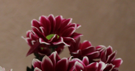 любить и быть любимой