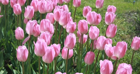 Я счастлива, любима, молода, здорова.