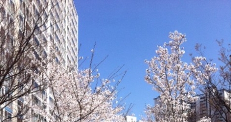 растущая карьера мужа