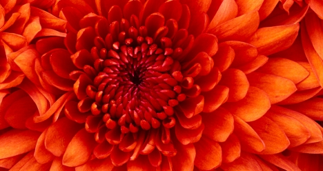 чтобы я помирилась с Галиной Конрад в феврале 2014 года