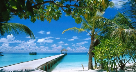 Путешествовать везде