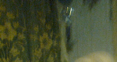 купить к весне хорошую модную одежду и выглядеть так как в 4