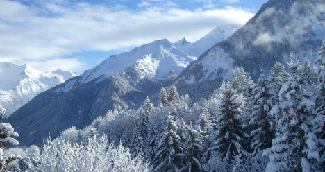 ШИКАРНЫЙ ОТПУСК В КУРШЕВЕЛЕ