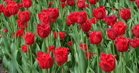 многомиллионный выигрыш в лотерею