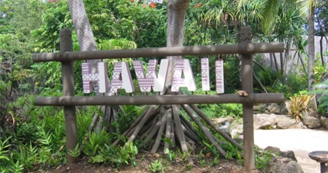 поездка на Гавайи