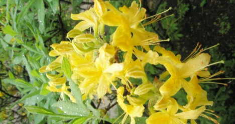 моя школа самореализации