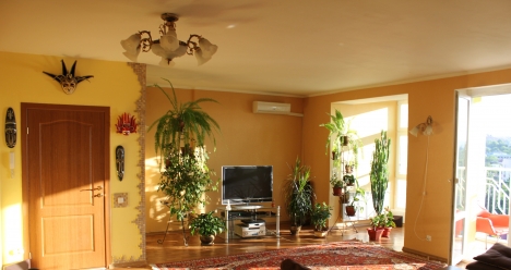 Переезд с мужем в Симферополь и работа в департаменте