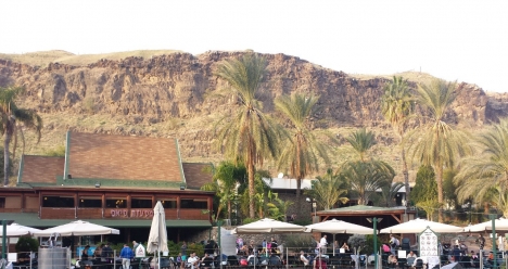 счастливая семья с моим любимым и любящим меня БЕНИ