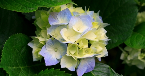 z vjkjlfz b rhfcbdfz