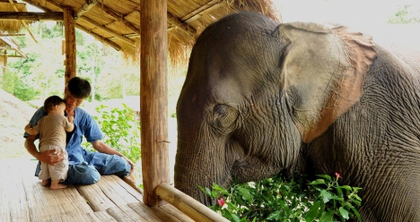 счастливая семья