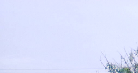 Купить участок и на нем построить дом