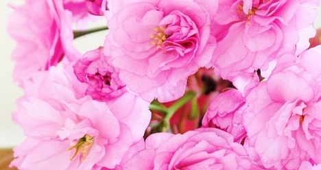 Стройная фигура