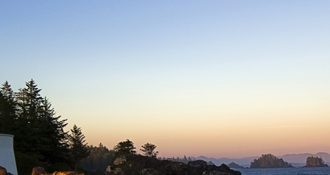 сын начал разговаривать