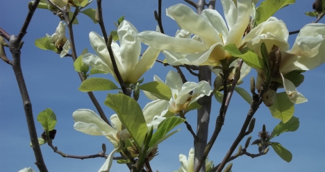 открыть свой успешный бизнес