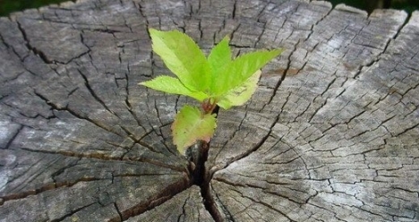 Исцеление моей жизни.