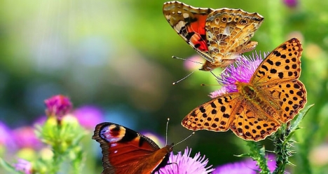 бросить курить