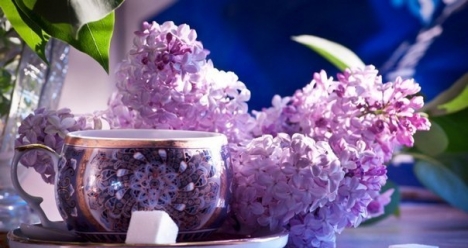 Здоровье,прекращение кровотечений,бодрость,появление денег